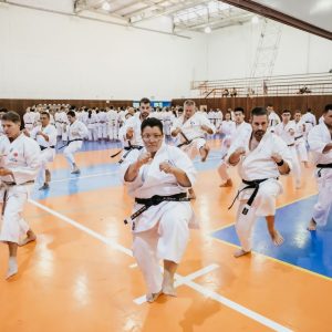 WhatsApp Image 2024-02-28 at 09.22.41