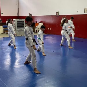 WhatsApp Image 2024-11-07 at 08.46.04